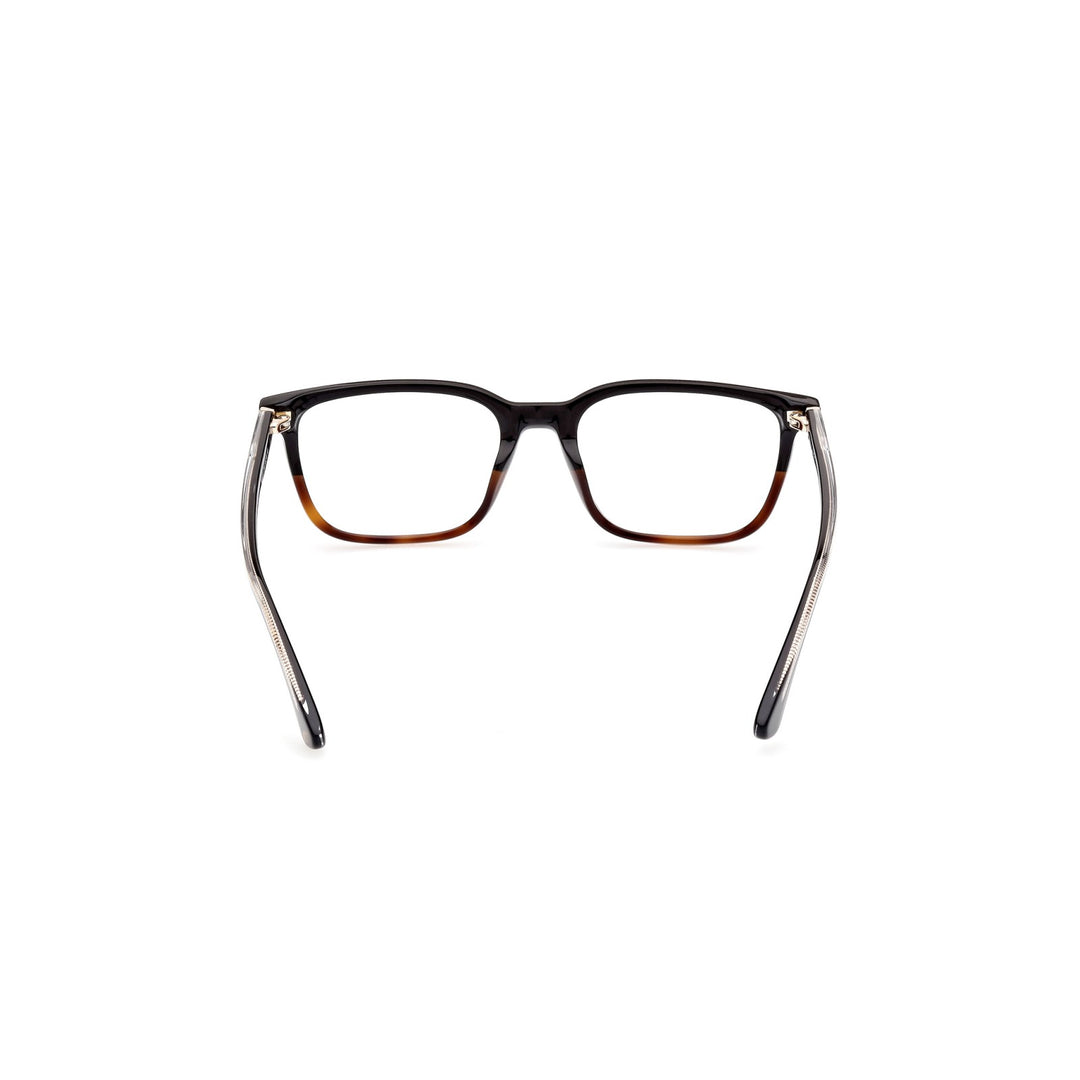 Web Eyewear - WE5391 056