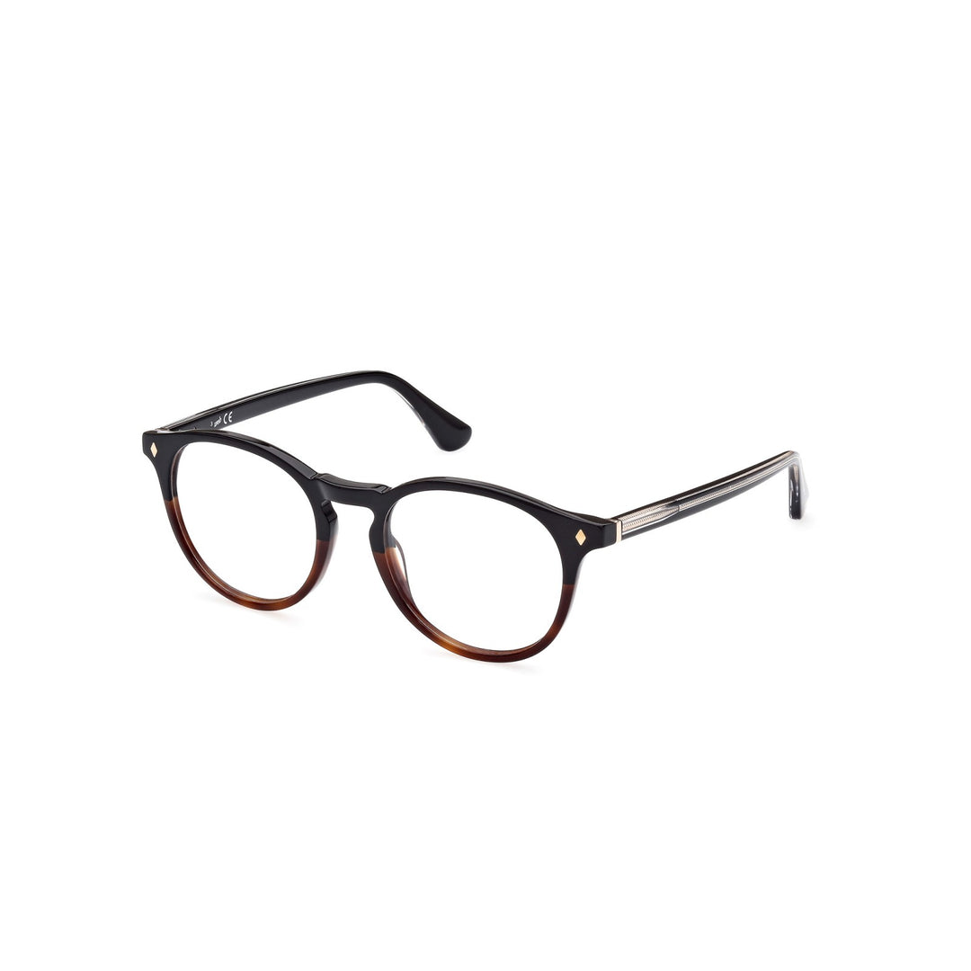 Web Eyewear - WE5387 056