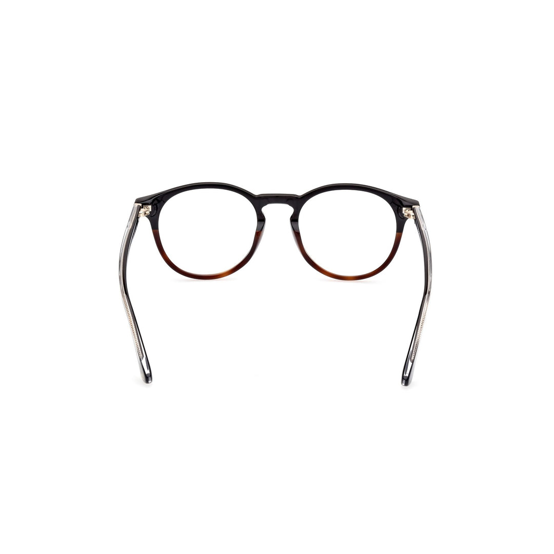 Web Eyewear - WE5387 056