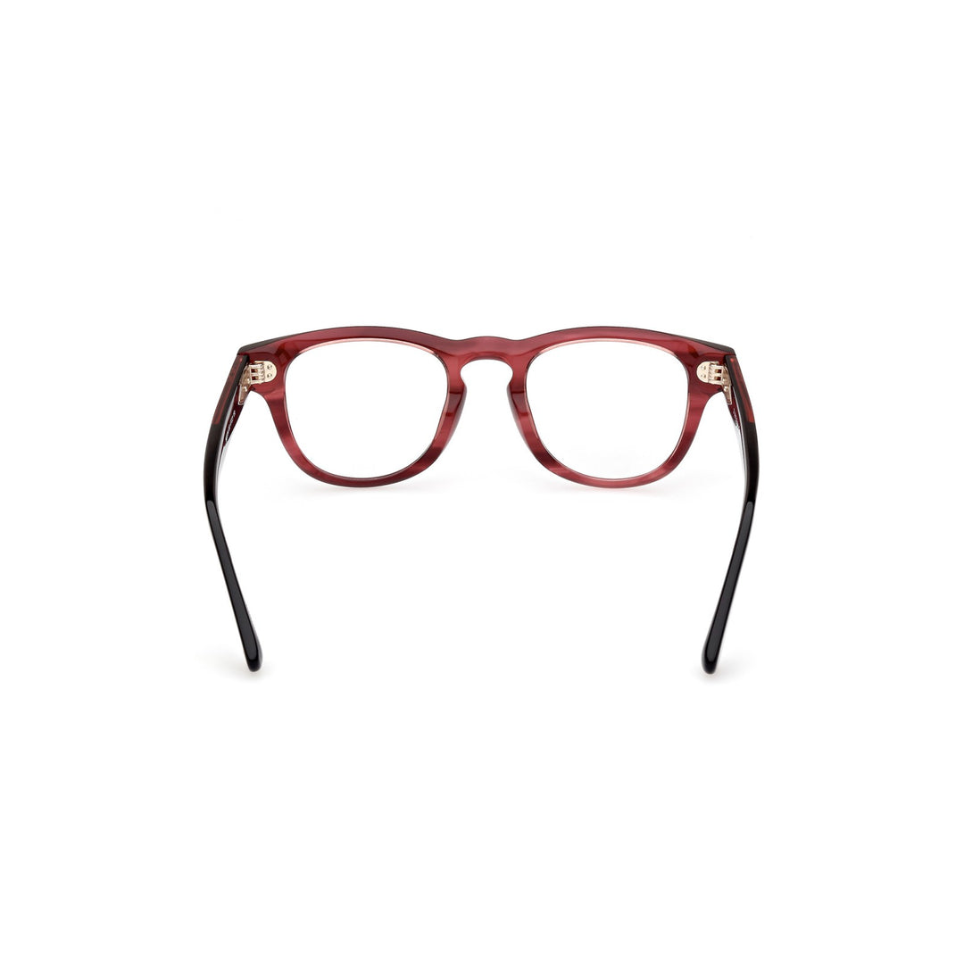 Web Eyewear - WE5384 083