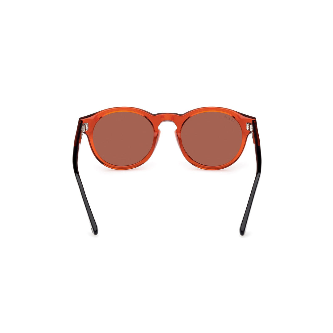 Web Eyewear - WE0324 42S