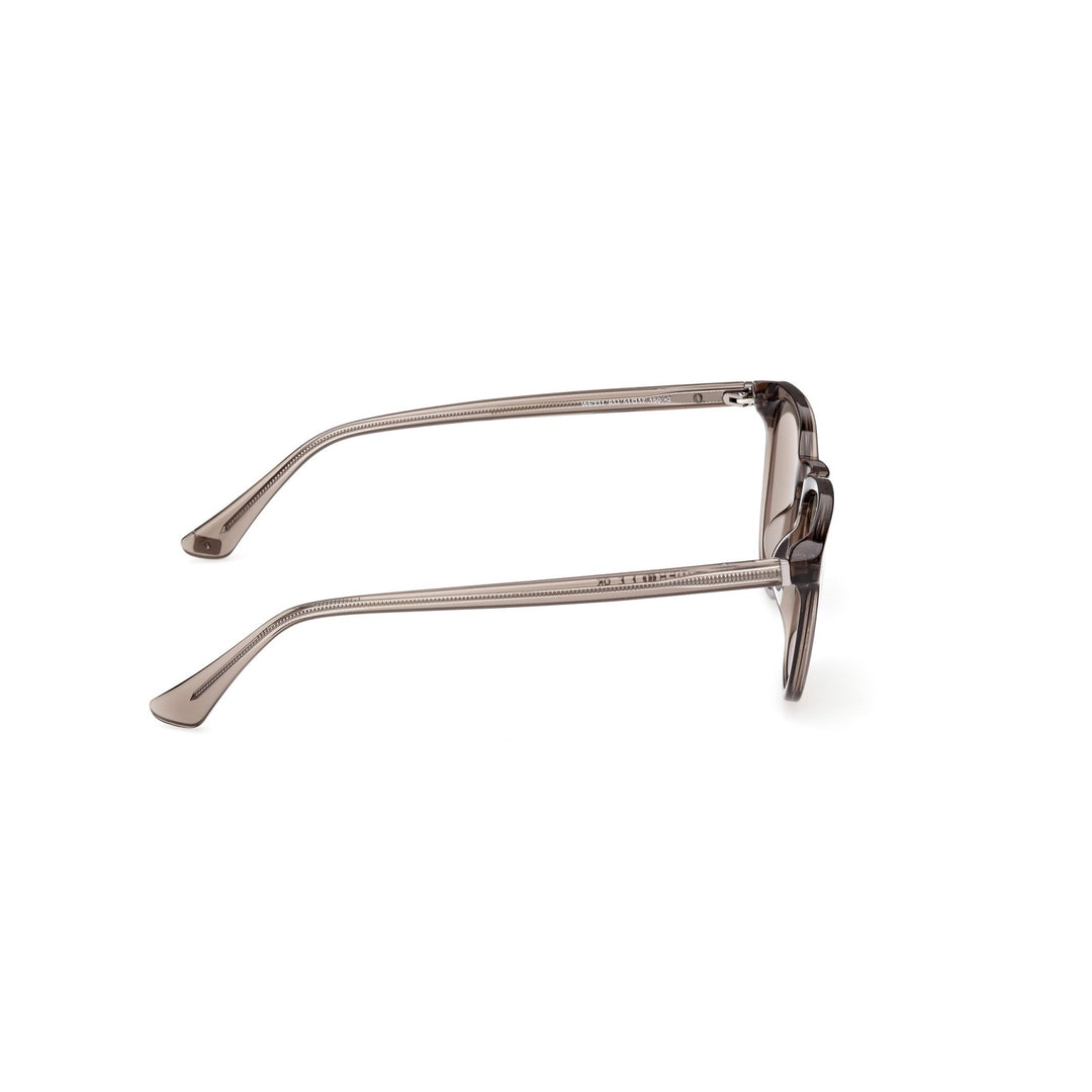 Web Eyewear - WE0331 93J